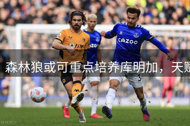 森林狼或可重点培养库明加，天赋超群引关注